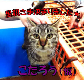 能登 こたろう.jpg